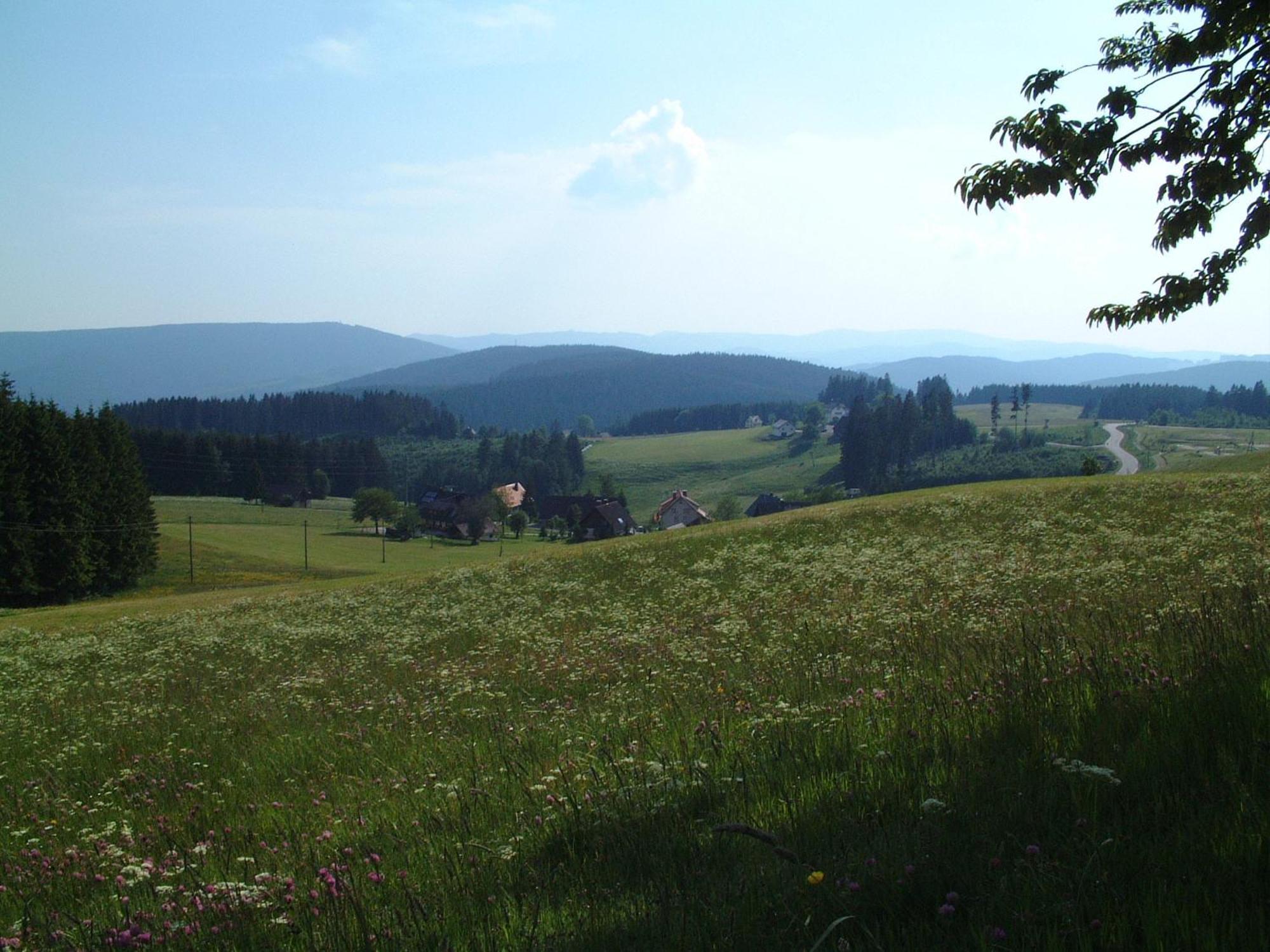 Cafe-Pension Feldbergblick Титизее-Нойштадт Экстерьер фото